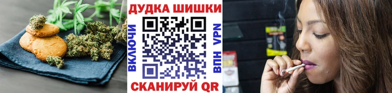 где можно купить   Кувшиново  shop наркотические препараты  Cannafood конопля 