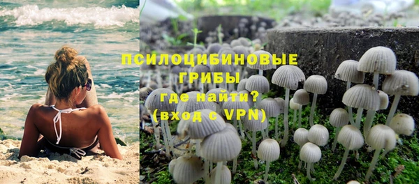 ПСИЛОЦИБИНОВЫЕ ГРИБЫ Белокуриха