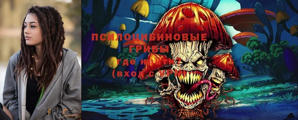 ПСИЛОЦИБИНОВЫЕ ГРИБЫ Белокуриха